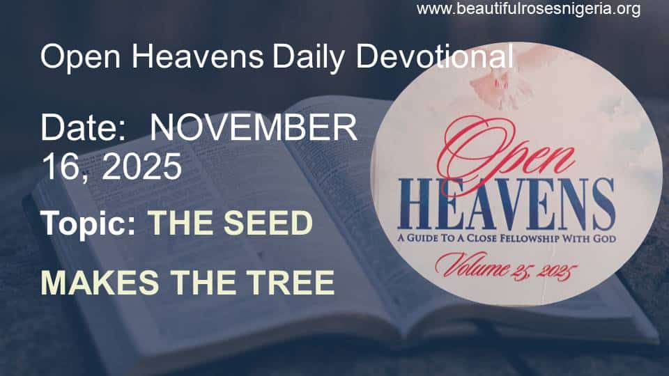 Open Heavens Daily Devotional November 16, 2025 | Beautiful Roses