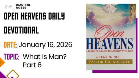 Open Heavens Daily Devotional January 16, 2026 | Beautiful Roses